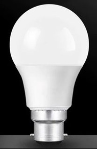 LED燈泡(B22接頭)