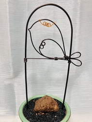 山烏龜 龜甲龍鋁線攀爬架