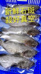 滿額免運 台灣產地直銷 活體現抓三去後淨重 急速冷凍 石斑魚 (以斤計價) 授乳 / 平日 最佳食用