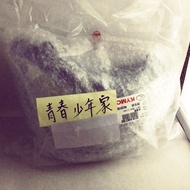 光陽 KYMCO 原廠 奔馳 奔馳金牌 如意EZ V1 前燈組 大燈組