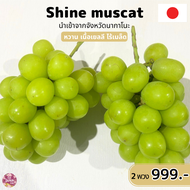 Shine muscat size 9-10 ชุด 2 พวง ไชน์มัสคัส ไชน์มัสแคท องุ่นญี่ปุ่น