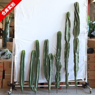 Simulation Cactus Plant Desert Green Plant Landscaping Mexican Cactus Measuring Ruler Fake Cactus Pi