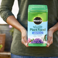 Miracle-Gro Azalea Camellia Rhododendron Plant Food 5lbs (2.26kg) (USA)