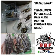 Umpan Kadal Bakar isi 3 ekor
