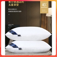 Hilton Hotel 5 star Pillow