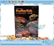 【魚店亂亂賣】水中的泡芙-淡水河魨(工具書)娃娃.河豚.狗頭TMBIOP德河威智ufferfish C1200035