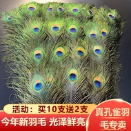 Peacock Peacock New Feather Pure Natural Feather Home Accessories Wedding Feather Tail Ornaments Vas