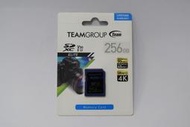 TEAM GROUP 十銓科技 Elite SDXC 256GB UHS-I U3 V30 記憶卡