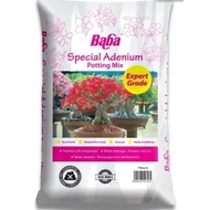 Adenium Soil baba special Adenium soil#富贵花专用土#Desert rose special soil#