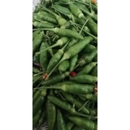 cili burung / cili api/ cili kampung segar 100g