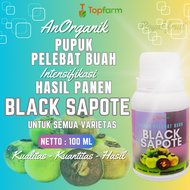 Pupuk Black Sapote / Pupuk Khusus Buah Black Sapote / Pupuk Pelebat Buah Buahan / Pupuk Buah Sawo Hi