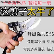 Pruning Shears Branch Shears Powerful SK5 Pruning Branch Shears Fruit Branch Shears Flower Branch Sh