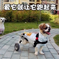 Pet Wheelchair Dog Wheelchair Cat Wheelchair Disabled Dog Disabled Cat Elderly Dog Elderly Cat