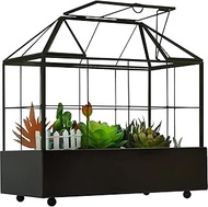 Large Tall Plant Terrarium Glass – Glass Greenhouse Terrarium with Lid and Tray,Indoor Tabletop Orchid Succulent Cacti Terrarium Kit 9.5”X9.8”X5.6”