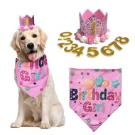 Pink Dog Birthday Crown with Scarf Set Dog Birthday Decoration Dog Birthday Hat Hat 2026.4.22