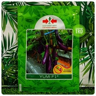 Paket 1100 Biji / Seeds YUMI F1 Biji Benih Terung F1 Hybrid Eggplant Seeds Cap Panah Merah East West