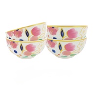 4 in 1 Family Bowl Set