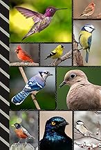 Address and Password Book Combo: Hardcover / Large Print / Discreet / Log Home - Email Addresses - P