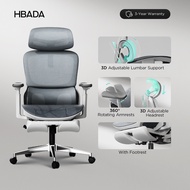HBADA P2 Pro Ergonomic Office Chair with Adjustable Lumbar
