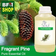 Pure Essential Oil (EO) - Pine - Fragrant Pine Essential Oil - 500ml
