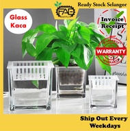 Pasu Kaca empat segi Square glass vase 10cm 12cm 15cm self watering pot money plant hydropot