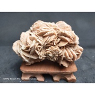 0618 desert rose specimen
