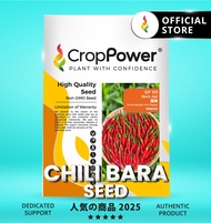 (10G) Benih Cili Chili seeds 辣椒种子 CROP POWER CL99 CL11 CL33 CL10 CL22 CL202 CL44 CL88 SP101 SP707 SP