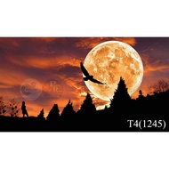 3d aquarium stickers, arowana fish pond, arhat fish, discus fish...