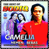 MP3 CD CASSETTE OF THE LATEST SODIQ SONGS - MP3 CASSETTE OF VIRAL JAVANESE SONGS - MP3 CASSETTE OF J