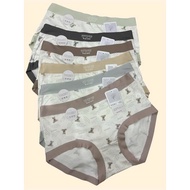 Set of 5 - 10 high-quality Cotton and silk underwear with soft, stretchy bear pattern d0210