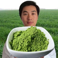 Spot ✗﹊Barley green juice 500g green juice barley grass powder barley seedling meal replacement powder青汁粉