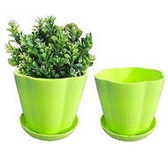 (FP2) Flower Pot With Tray Pasu Bunga