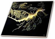 3dRose ct_9950_4 Leafy Sea Dragon Seahorse, Phycodurus eques,-Ceramic Tile, 12"