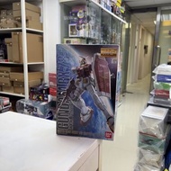 [放得高搵鬍鬚] 不二不議 MG RX-78-2 Gundam 10th 一年戰爭