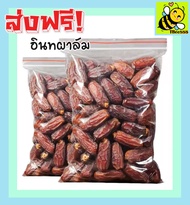 ส่งฟรี!! อินทผาลัม (พร้อมทาน) อินทผลัมอบแห้ง เดกเลทนัวไร้ก้าน 100 กรัม Deglet Nour ขนมผลไม้และผลไม้อบแห้ง อาหารผลไม้เชื่อมแห้ง ลูกพรุน ผลไม้รวมอบแห้ง ขนมทานเล่น อินทะผาลัม