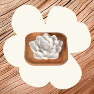 Plant Therapy Passive Lotus Diffuser