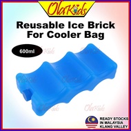 OLAKIDS Reusable Ice Brick Ice Block Ice Pack Cooler Milk Storage Cooler Bag Cooler Box