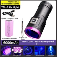YINNUO | Authentication UV Torch 395nm