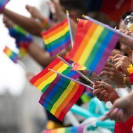 Mobile Flag Rainbow Flags Multi-Colored plastic Rod LGBT PRIDE Hand Waver with straw holder