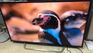 Sony 49吋 49inch KD-49X7000D 4k android 智能電視 smart tv