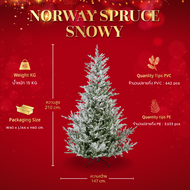 ต้นคริสต์มาส 210 cm. Norway Spruce Snowy - Christmas Tree