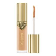 Dolce & Gabbana Everlast Concealer