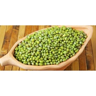 populer Kacang hijau / kacang hijau australia / kacang hijau import