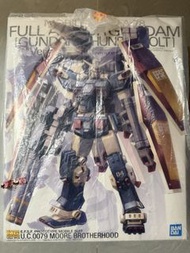 MG Full Armor Gundam Thunderbolt Ver Ka. & Hanger