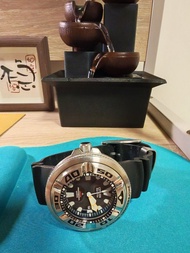 CITIZEN Eco-Drive Professional Diver 潛水錶