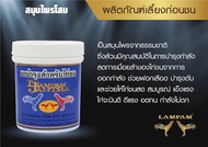 ผลิตภัณฑ์ลำปำ โสม บำรุงไก่ชน 130 เม็ด