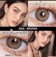 💋 สุดปัง มีค่าสายตา 💋 Wink Dna Gray Brown บิ๊กอาย สุดปัง คอนแทคเลนส์ รายเดือน มีอย แถมตลับฟรี เลนส์น