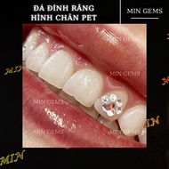 Min Gems 5-piece pet paw-shaped tooth studs, medium size, toothgem Min Gems