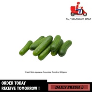 Fresh Mini Japanese Cucumber Romilino Timun Jepun Kecil 500gram Fresh Vegetables