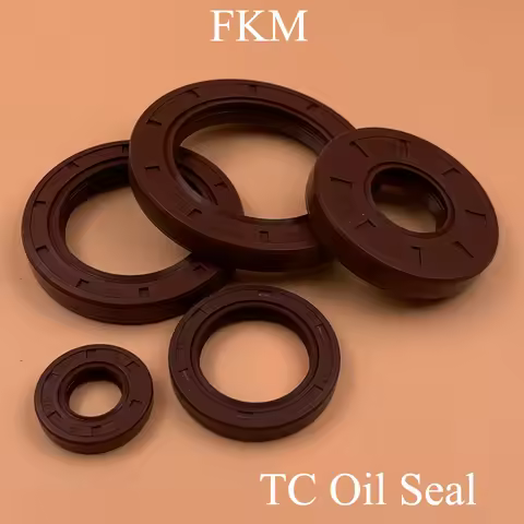 5*15*6 5x15x6 5*16*6 5x16x6 6*15*4 6x15x4 Fluoro FKM Fluorine Rubber 2 Lip Spring TC Ring Gasket Rad